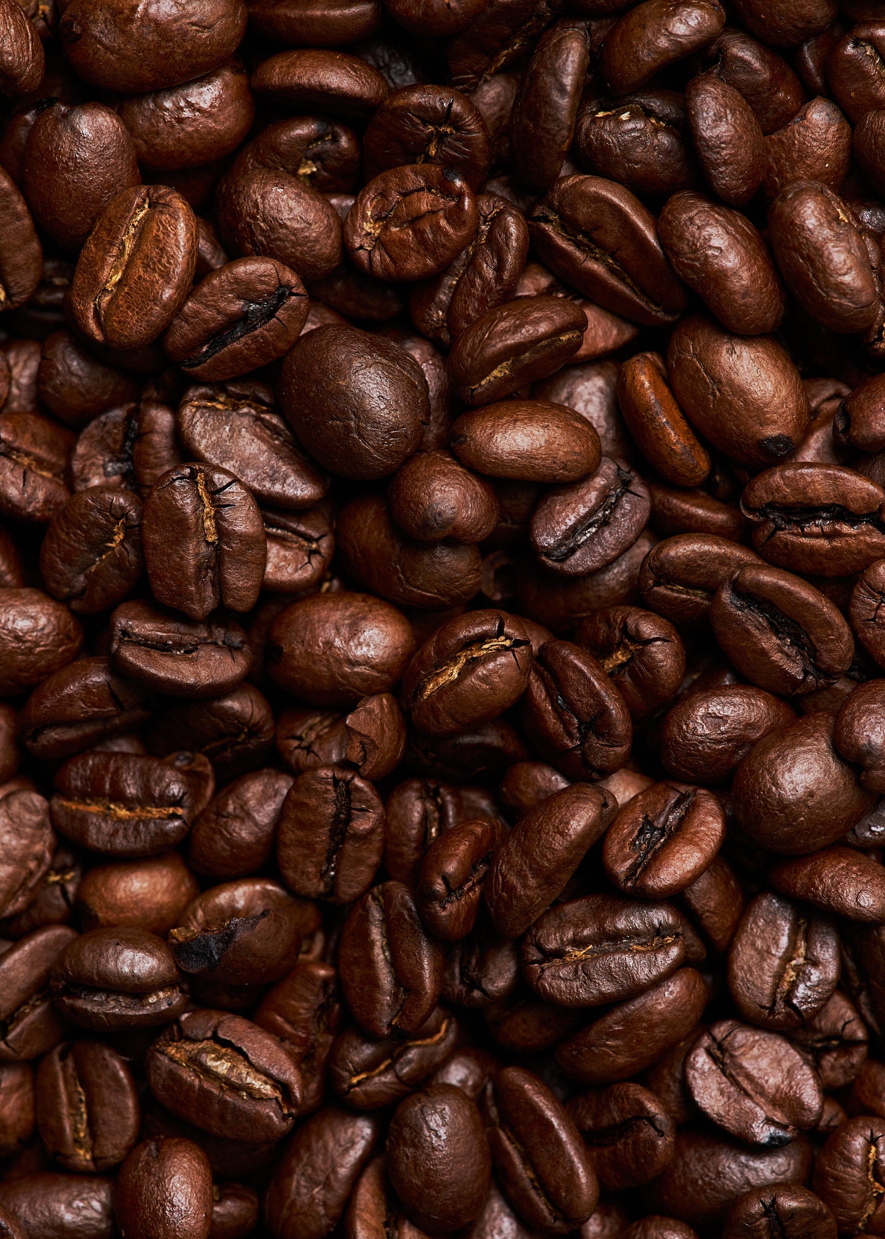 Tiramisù Pulcinella