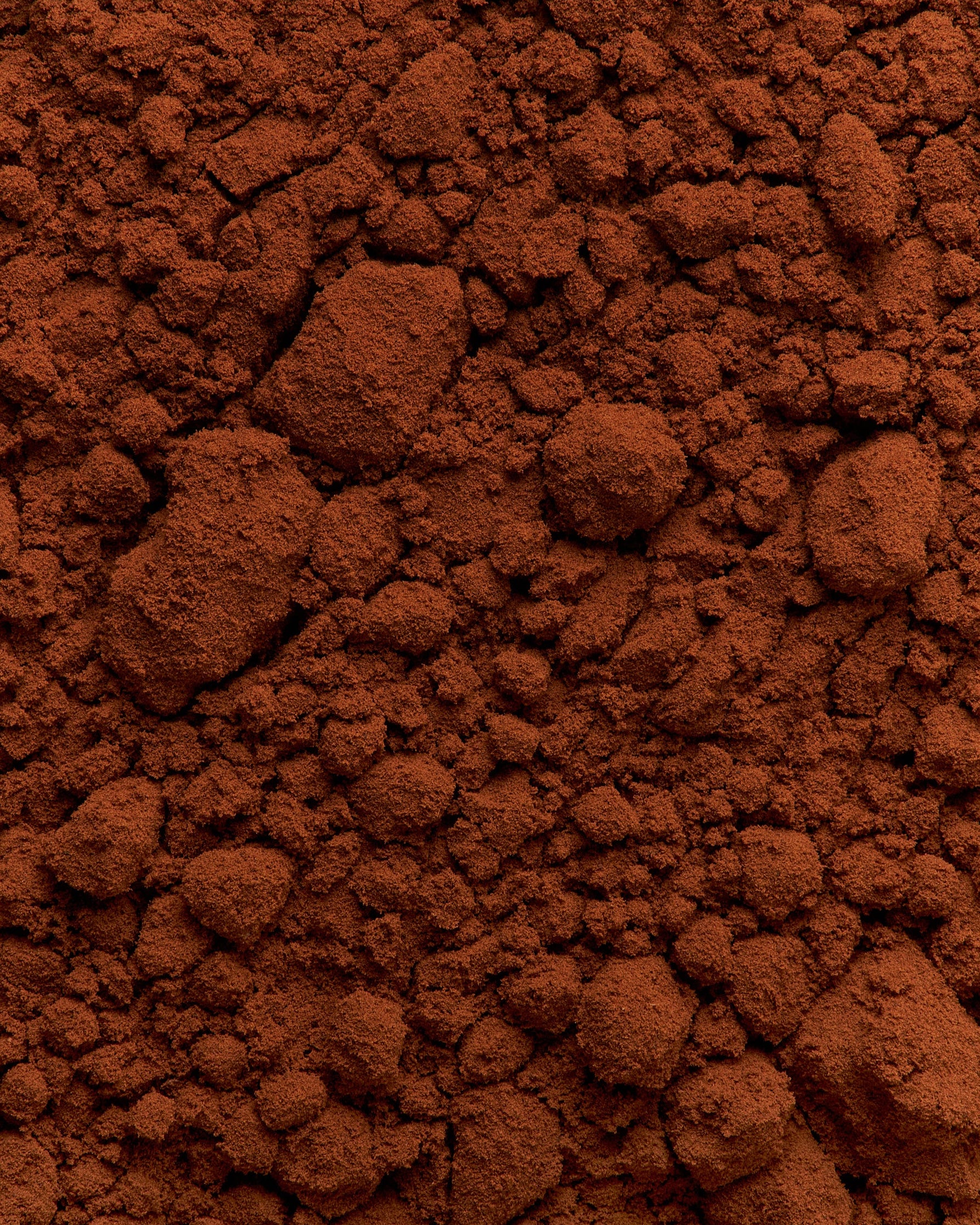 Tiramisù Giangurgolo